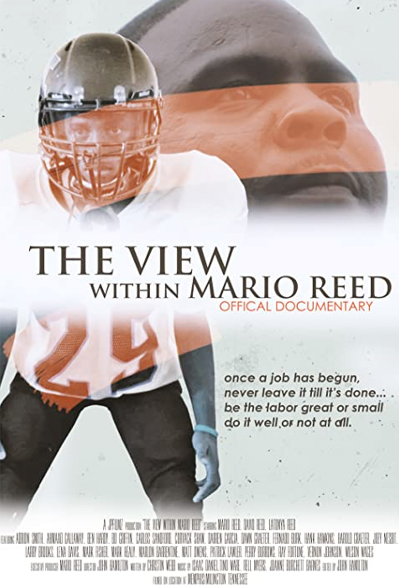 The View Within Mario Reed Poster